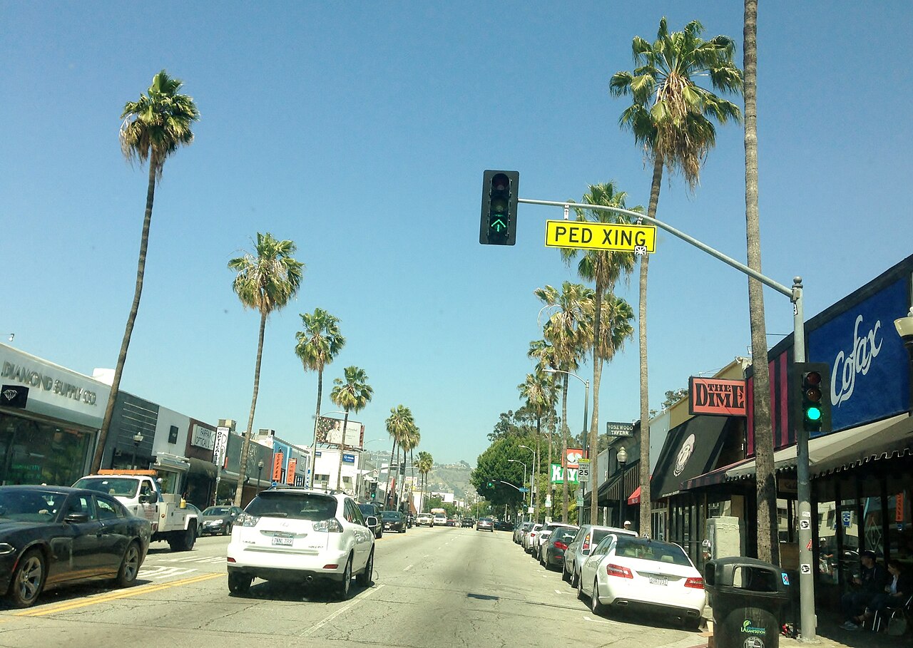 Palm-lined Fairfax commercial streetscape.