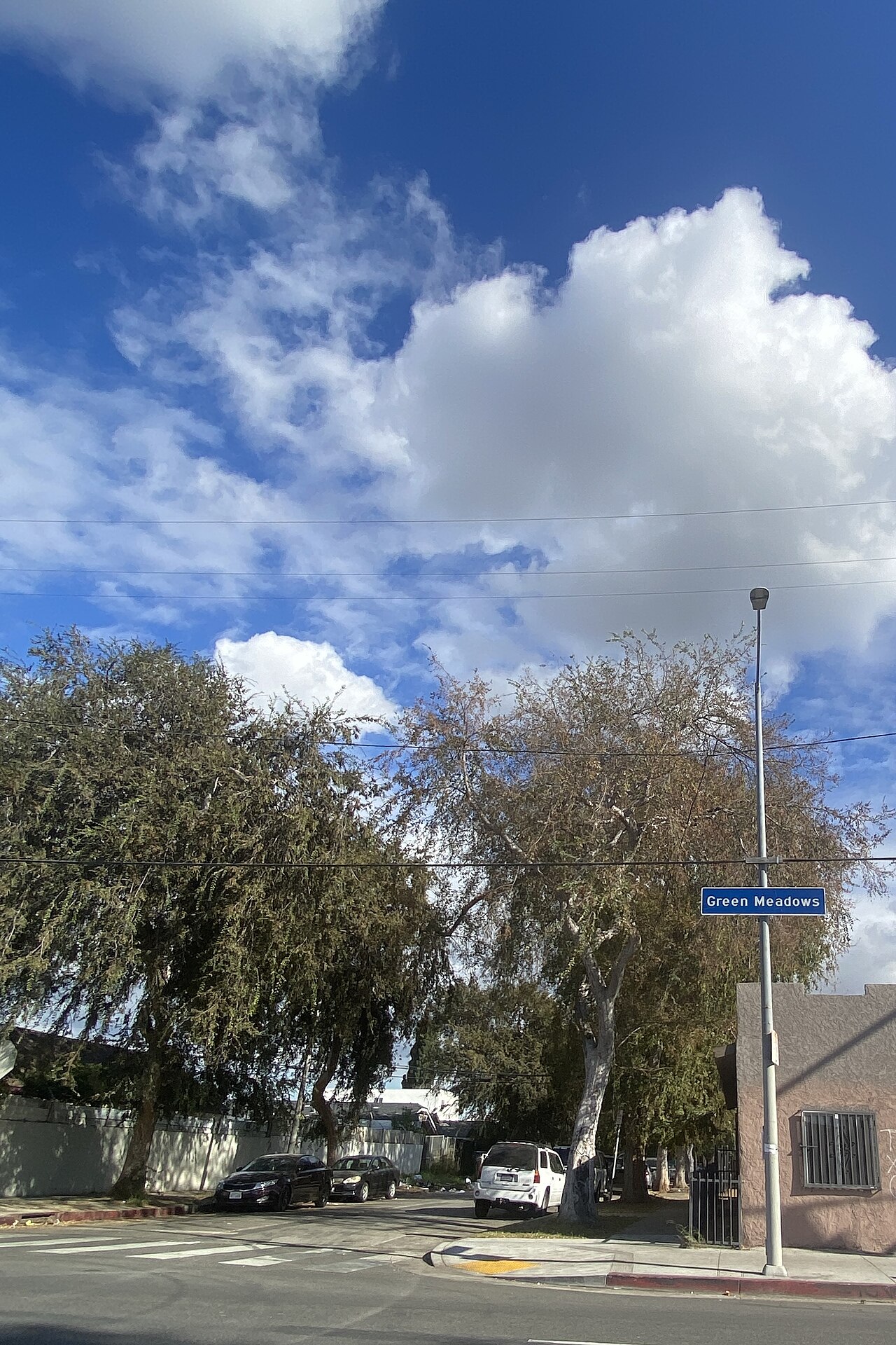 Street scene with a Green Meadows neighborhood sign.