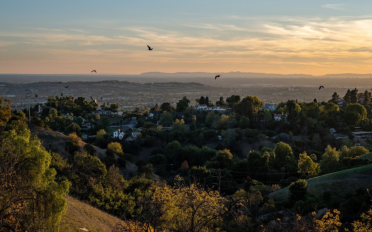 Homes and leafy hillsides beneath a warm sunset sky.