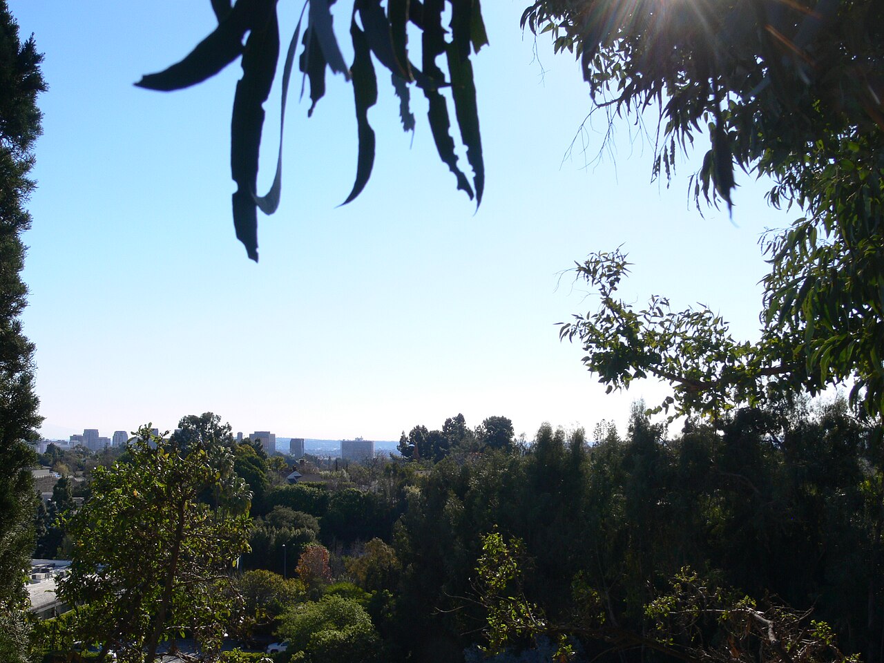Tree-framed view from Luxe Hotel in Brentwood toward distant urban buildings.