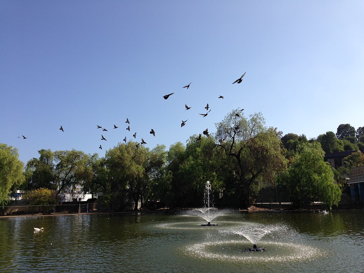 Fountain and pond at Los Encinos State Historic Park.