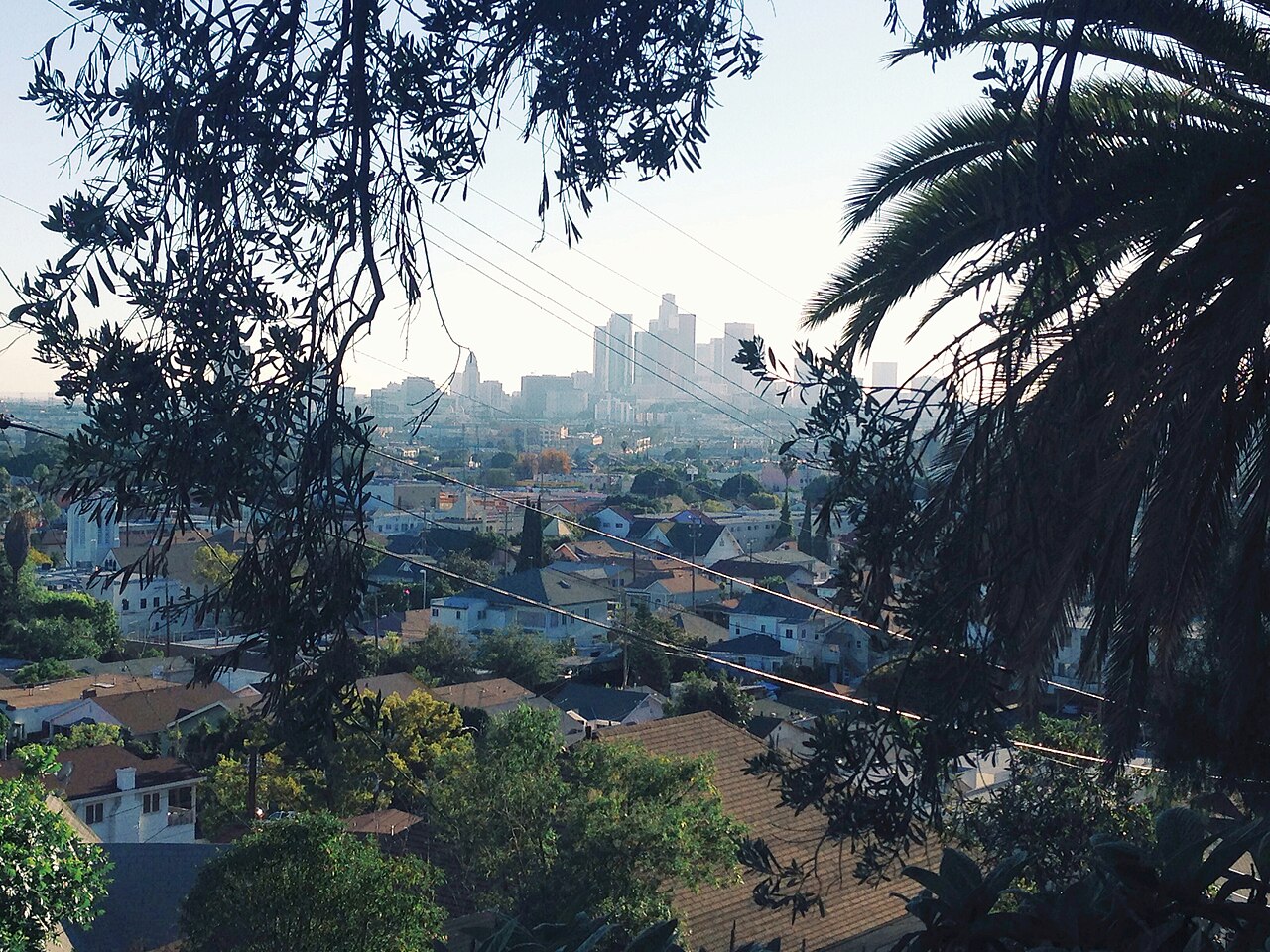 Lincoln Heights homes below trees, with Downtown Los Angeles in the distance.