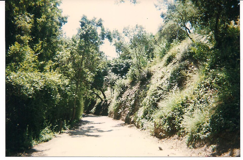 A section of Cielo Drive in Benedict Canyon in a historical photograph.