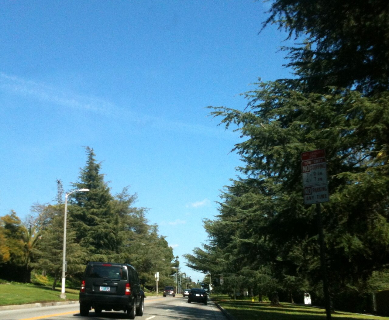Los Feliz Boulevard with mature roadside trees.