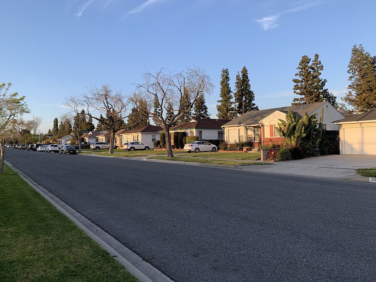 Single-story homes, front lawns and driveways along a residential street.