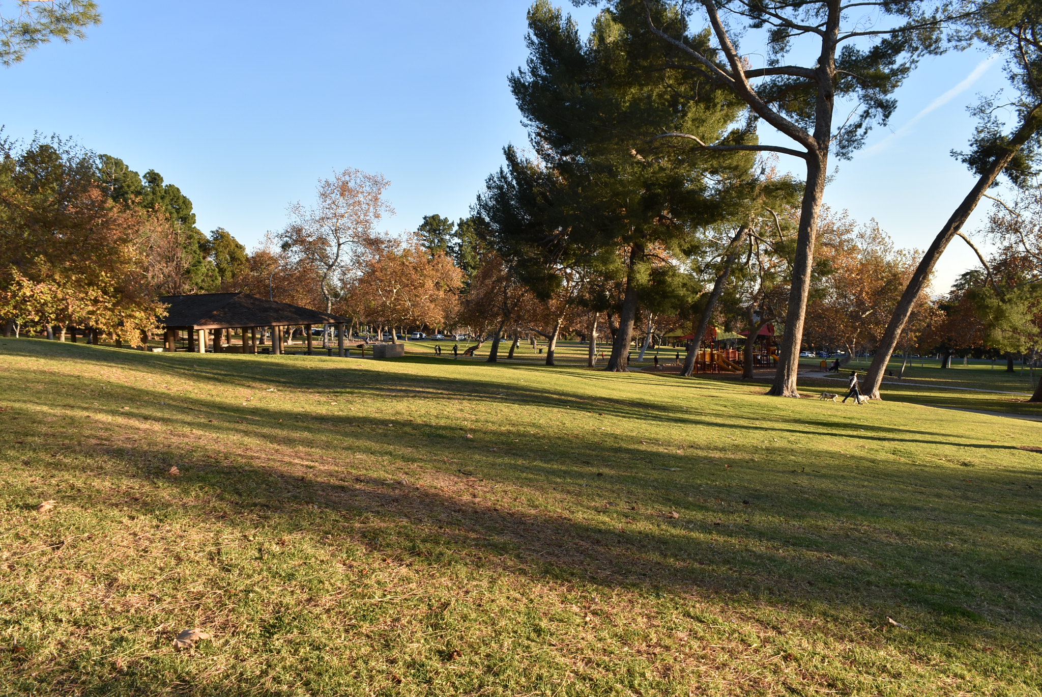 Veterans Memorial Community Regional Park in Sylmar